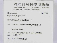 登錄號:F0021587藏品圖，第2張