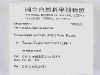 登錄號:F0021592藏品圖，第2張