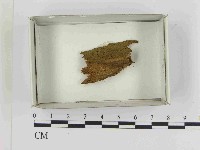 登錄號:F0021592藏品圖，第1張