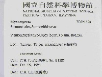 登錄號:F0021593藏品圖，第2張