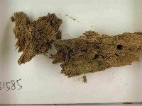 登錄號:F0021593藏品圖，第3張