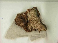 登錄號:F0021594藏品圖，第3張