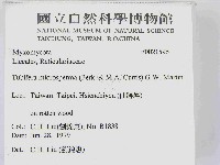 登錄號:F0021596藏品圖，第2張