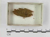 登錄號:F0021596藏品圖，第1張