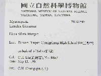 登錄號:F0021597藏品圖，第2張