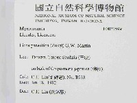 登錄號:F0021599藏品圖，第2張