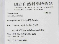 登錄號:F0021601藏品圖，第2張