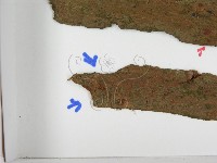登錄號:F0021601藏品圖，第3張