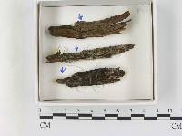 登錄號:F0021602藏品圖，第1張