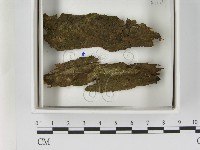 登錄號:F0021604藏品圖，第1張