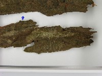 登錄號:F0021604藏品圖，第3張