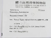 登錄號:F0021605藏品圖，第2張