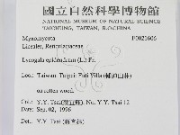 登錄號:F0021606藏品圖，第2張