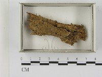 登錄號:F0021606藏品圖，第1張