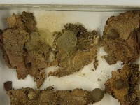 登錄號:F0021607藏品圖，第3張