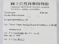 登錄號:F0021608藏品圖，第2張