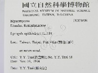 登錄號:F0021609藏品圖，第2張