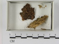 登錄號:F0021609藏品圖，第1張