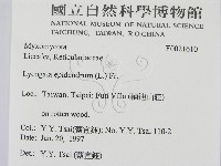 登錄號:F0021610藏品圖，第2張