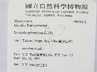 登錄號:F0021611藏品圖，第2張
