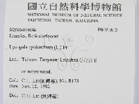 登錄號:F0021612藏品圖，第2張