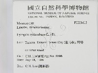 登錄號:F0021613藏品圖，第2張
