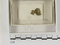 登錄號:F0021613藏品圖，第1張