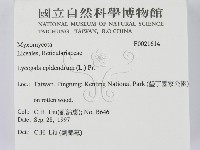 登錄號:F0021614藏品圖，第2張