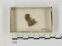 登錄號:F0021614藏品圖，第1張