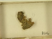 登錄號:F0021614藏品圖，第3張
