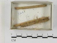 登錄號:F0021615藏品圖，第1張