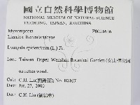 登錄號:F0021616藏品圖，第2張