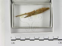 登錄號:F0021616藏品圖，第1張