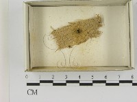 登錄號:F0021618藏品圖，第1張