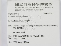 登錄號:F0021619藏品圖，第2張
