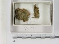 登錄號:F0021619藏品圖，第1張