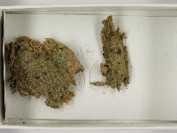 登錄號:F0021619藏品圖，第3張