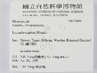 登錄號:F0021620藏品圖，第2張