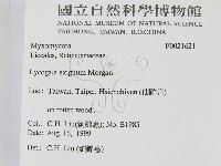 登錄號:F0021621藏品圖，第2張