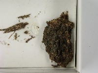 登錄號:F0021621藏品圖，第3張