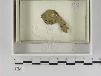 登錄號:F0021622藏品圖，第1張