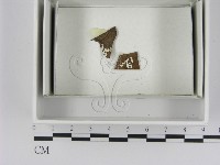 登錄號:F0021623藏品圖，第1張