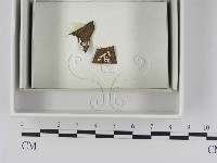 登錄號:F0021623藏品圖，第3張