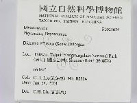 登錄號:F0021624藏品圖，第2張
