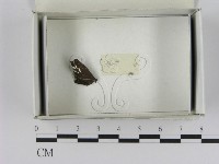 登錄號:F0021624藏品圖，第1張