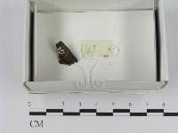 登錄號:F0021624藏品圖，第3張