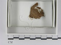 登錄號:F0021625藏品圖，第1張