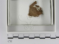 登錄號:F0021625藏品圖，第3張