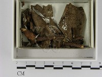 登錄號:F0021626藏品圖，第3張