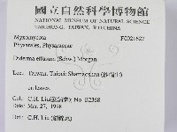 登錄號:F0021627藏品圖，第2張